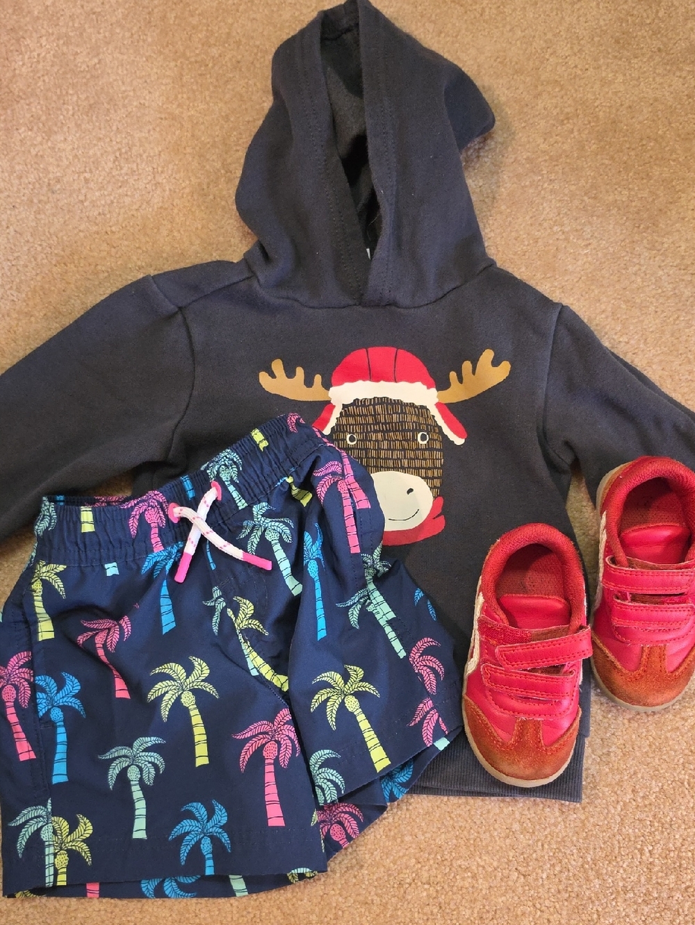 3t Bundle! Swim, Hoddie, Shoes